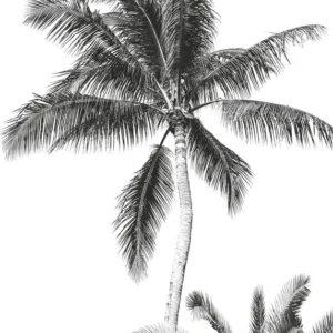 Фотообои Retro Palm, Komar IAX4-0011