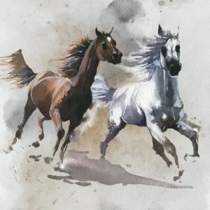 Fototapeet Wild Ride, Komar IAX4-0030