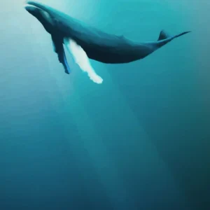 Fototapeet Artsy Humpback Whale, Komar IAX4-0045