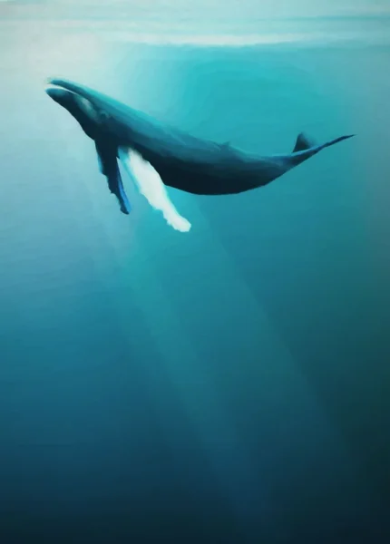 Fototapeet Artsy Humpback Whale