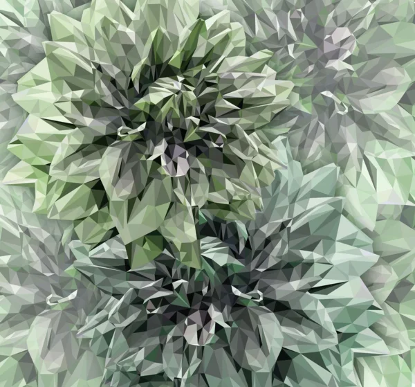 Fototapeet Komar INX6-036 - Emerald Flowers