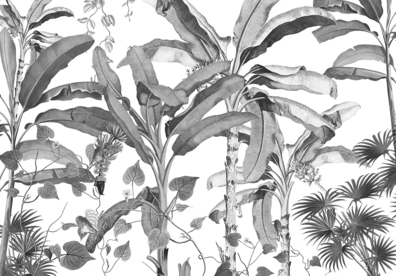 Fototapeet Croissances Monochrome, Komar INX8-082