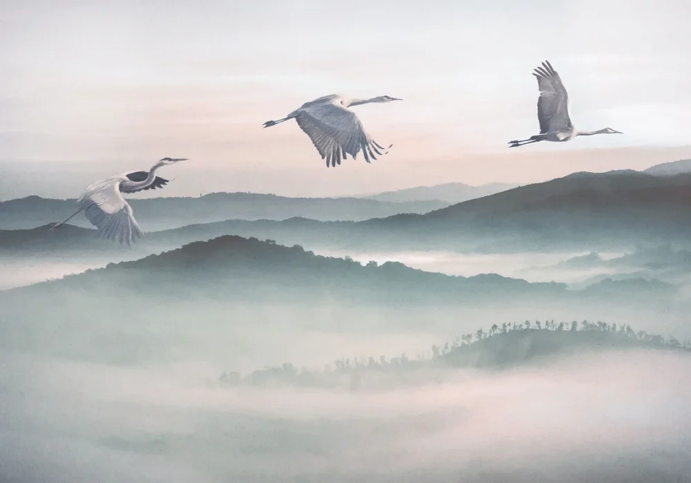 Fototapeet Komar INX8-083 - Mystic Cranes