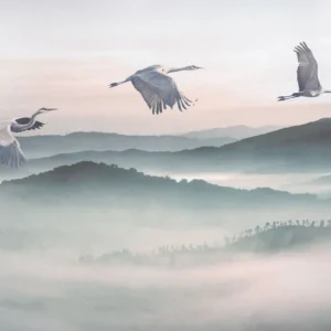 Fototapeet Mystic Cranes, Komar INX8-083