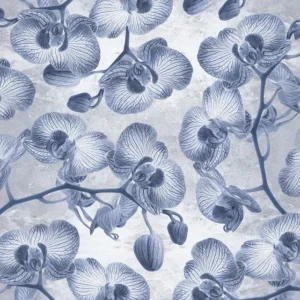 Fototapeet Orchidée, Komar LJX4-022