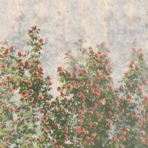 Fototapeet Wall Roses, Komar LJX6-038