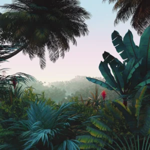 Fototapeet Jungle Morning, Komar LJX8-060