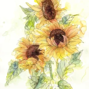Fototapeet Girasol, Komar X4-1008