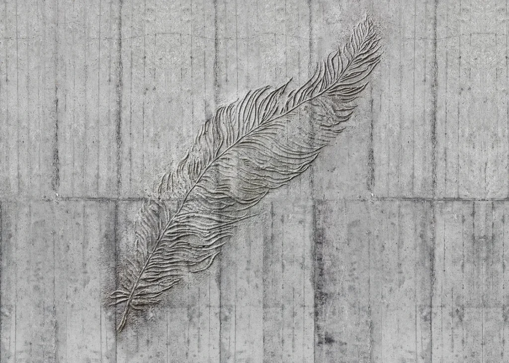 Фотообои Concrete Feather, Komar X7-1023