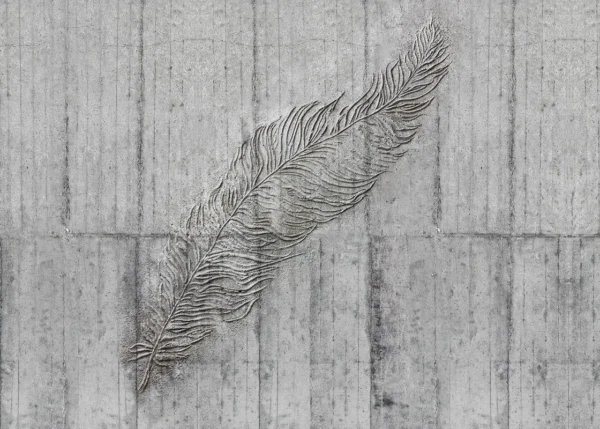 Fototapeet Komar X7-1023 - Concrete Feather