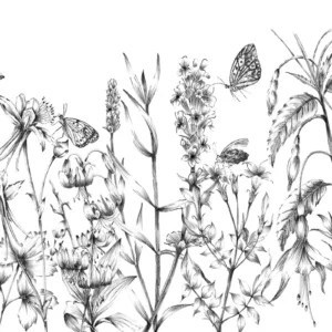 Fototapeet Butterfly Field, Komar X8-1085