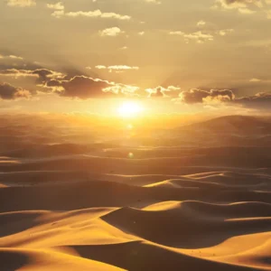 Tapeet Marburg Dune 32545, Düün