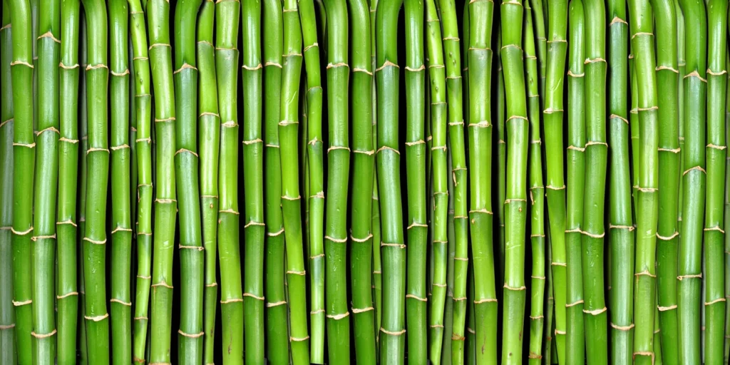 Pilttapeet RebelWalls R11821 - Bamboo