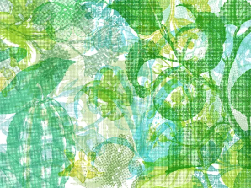 Pilttapeet RebelWalls R12022 - Jelly Belly Plants