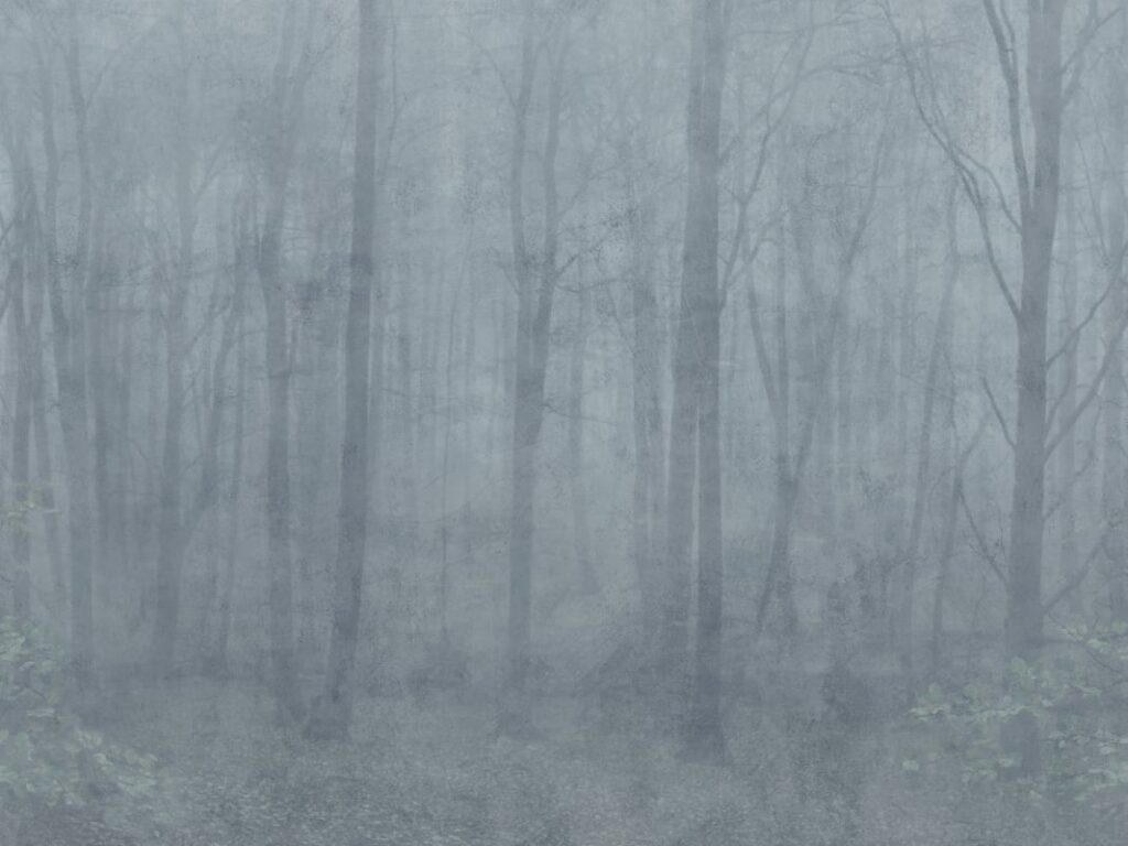 Обои Sandberg S10106 - Skog Misty Blue