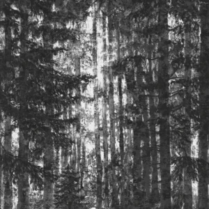 Фотообои Lustres Lapland, Komar IF2-014