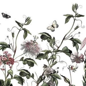 Fototapeet Paradis de Papillons, Komar P266-VD4