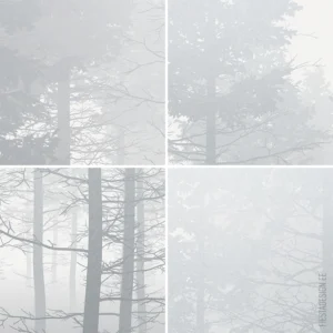Фотообои Komar RAW - Silver Haze RSX8-055