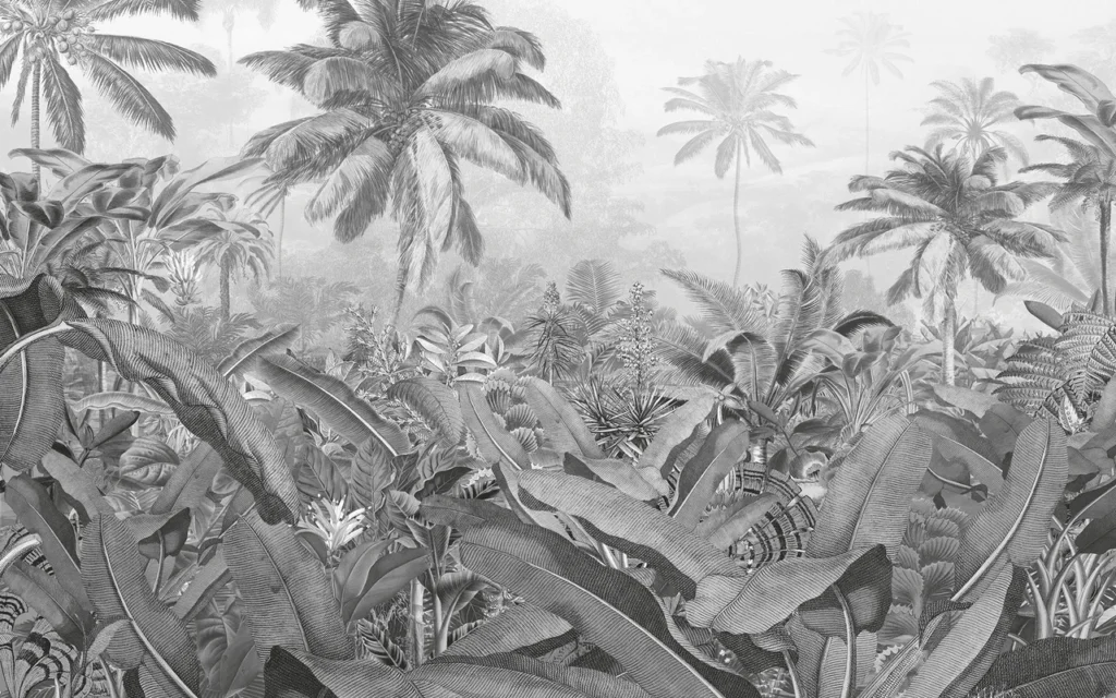 Фотообои Amazonia Black and White, Komar P013-VD4