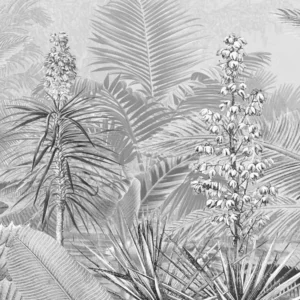 Fototapeet Komar - Amazonia Black and White P013-VD4