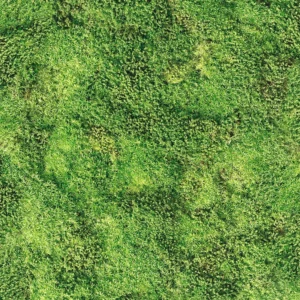 Tapeet Marburg Struktura 45733 Moss Wall