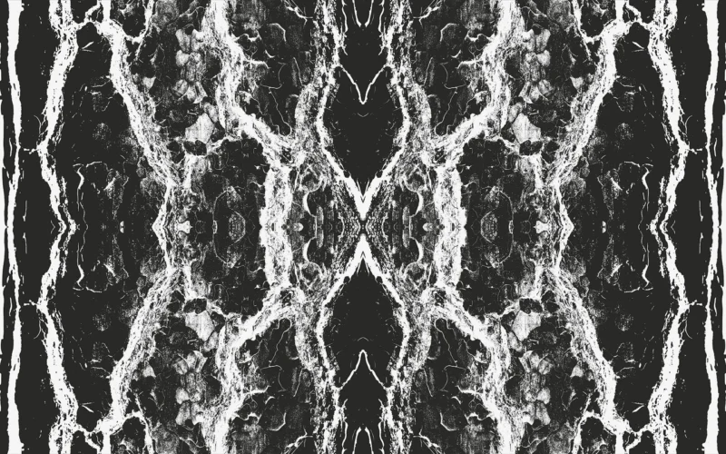 Fototapeet Oak Bark, Komar RH-1262
