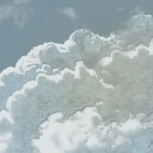 Фотообои Komar Flair FLX5-050 - Vintage Clouds