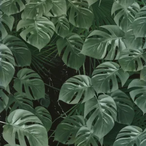 Фотообои Monstera on Marble, Komar P035-VD2