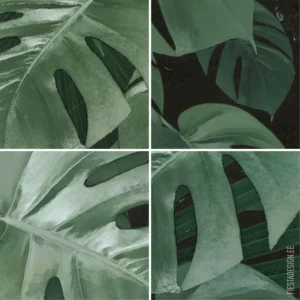 Фотообои Monstera on Marble, Komar P035-VD2