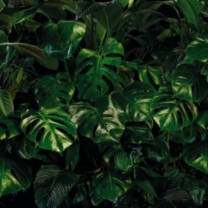 Fototapeet Tropical Wall, Komar P333-VD4