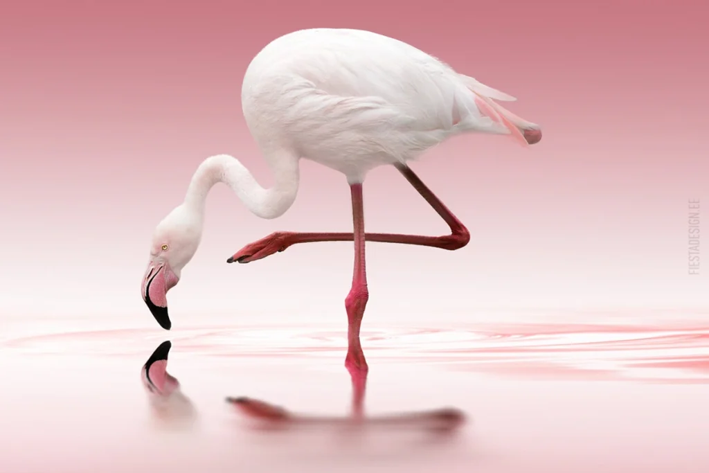 Pilttapeet Flamingo (Marburg Smart Art)