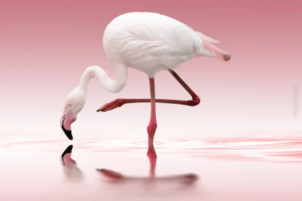 Фотообои Flamingo (Marburg Smart Art)