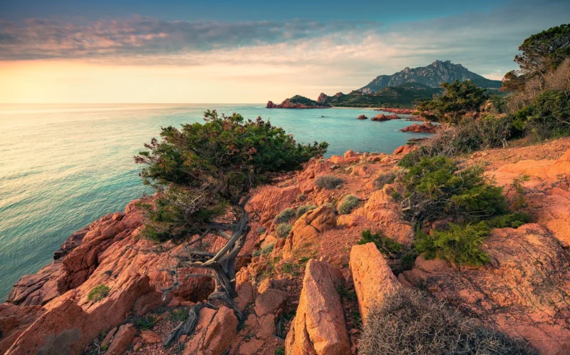 Фотообои Paradiso II, Komar SHX9-066