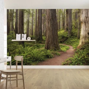 Fototapeet Redwood Trail, Komar SHX9-077