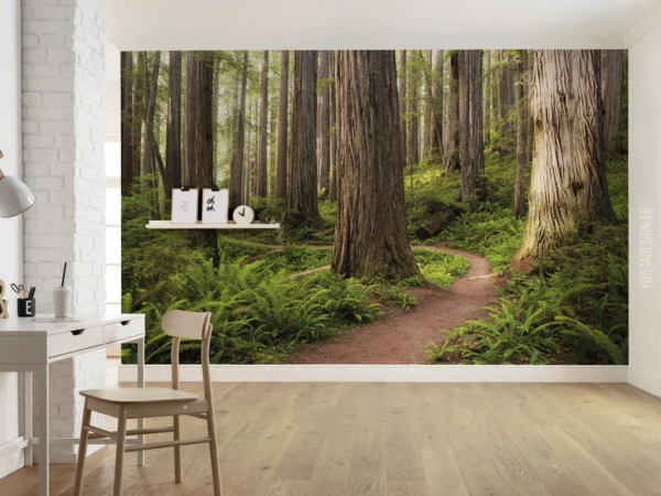 Фотообои Redwood Trail, Komar SHX9-077