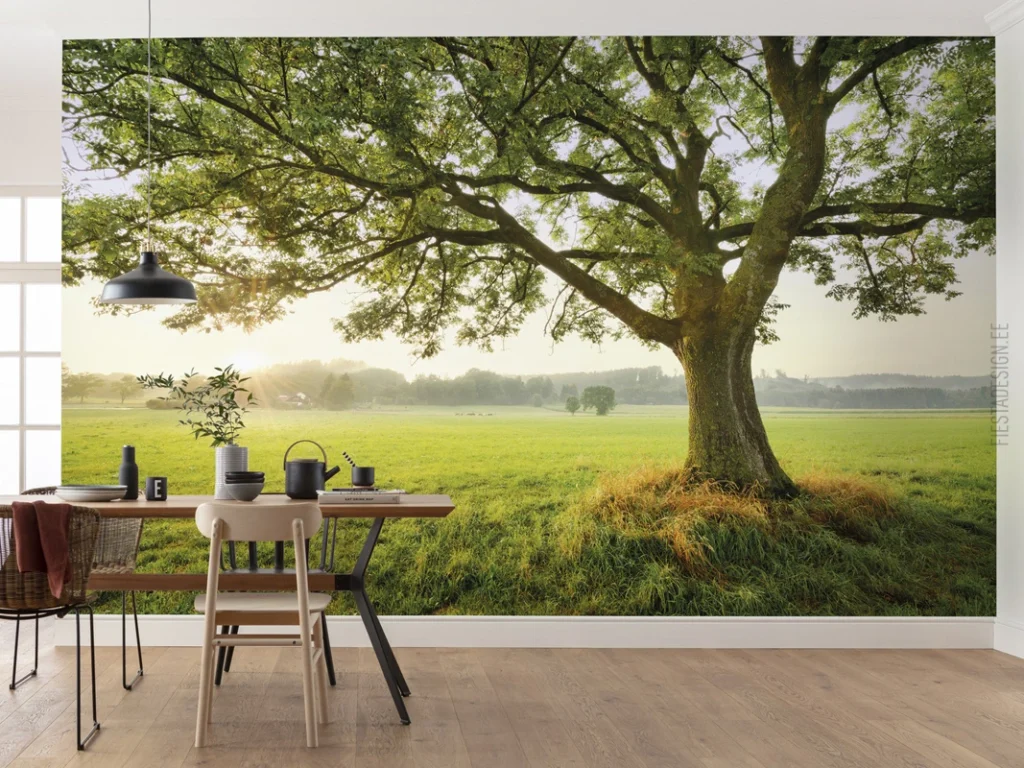 Fototapeet The Magic Tree, Komar SHX9-086