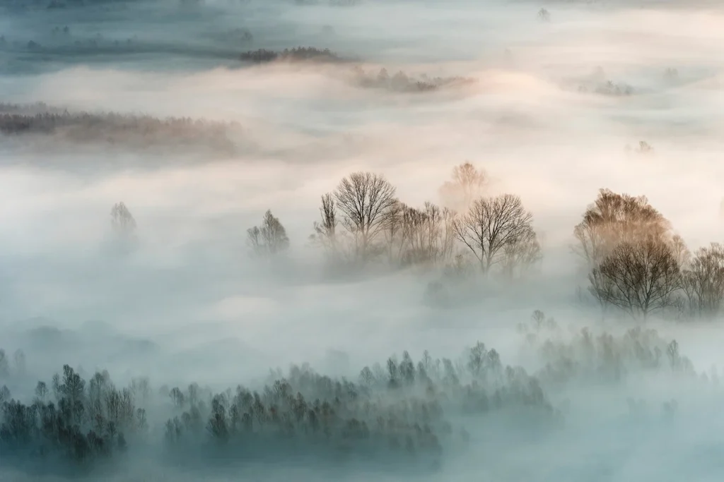 Фотообои Winter Fog