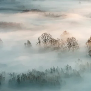 Фотообои Winter Fog