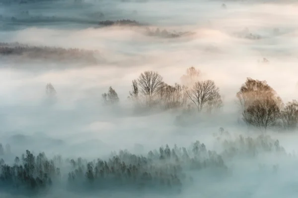 Фотообои Winter Fog