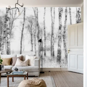 Фотообои Birch Grove