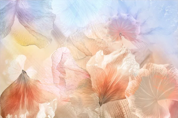 Фотообои Ethereal Flowers