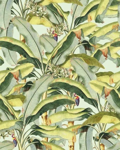 Fototapeet Banana Grove, SX4-001 (Komar)