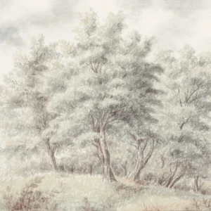 Fototapeet Grove, SX7-035 (Komar)