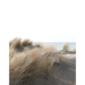 Fliistapeet Smart ART 47219 Sand Dune, 212×270 cm