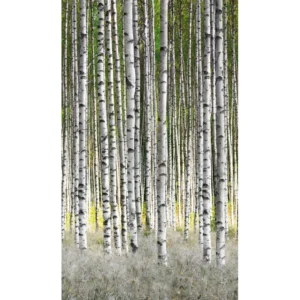 Флизелиновые обои Smart ART 47220 Birch Forest