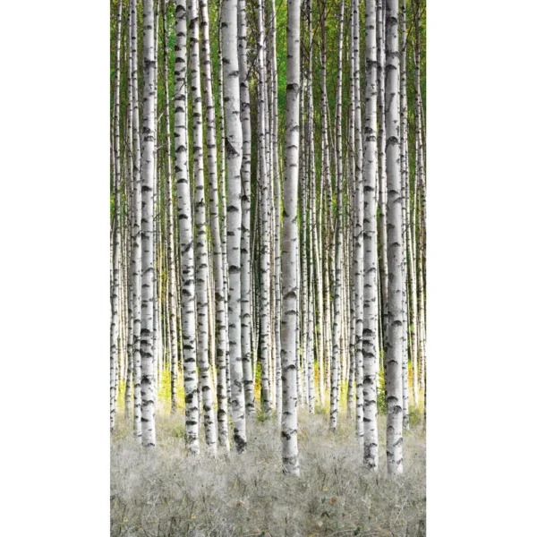 Флизелиновые обои Smart ART 47220 Birch Forest