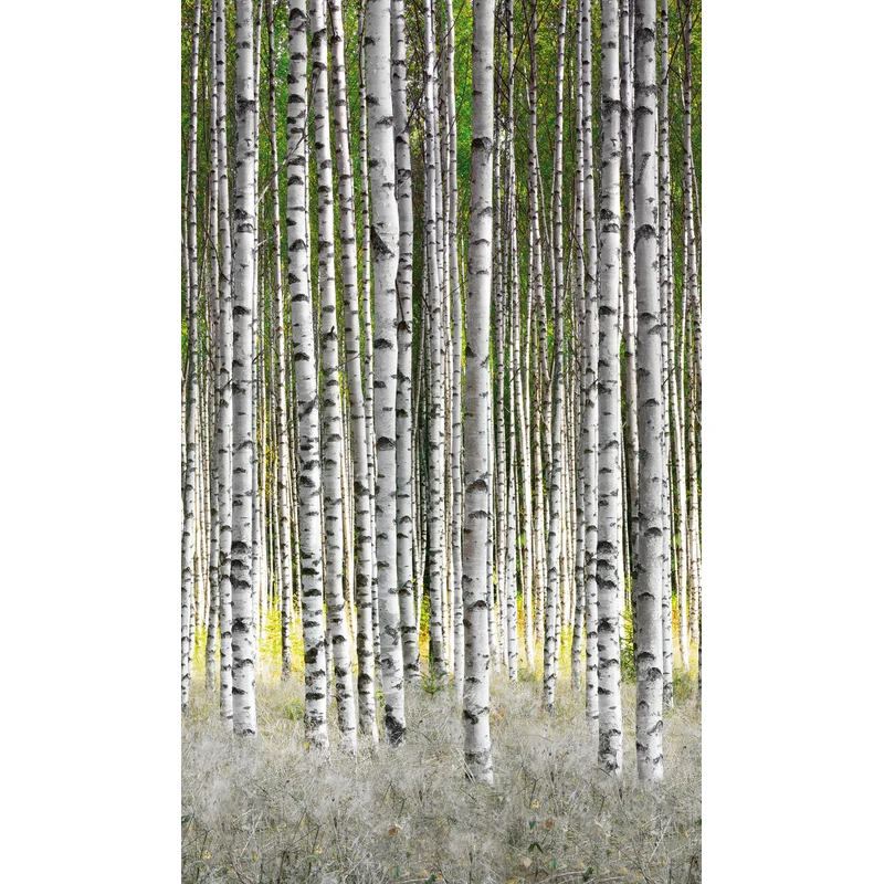 Обои Marburg 47220 Birch Forest Флизелиновые обои Smart ART 47220 Birch Forest
