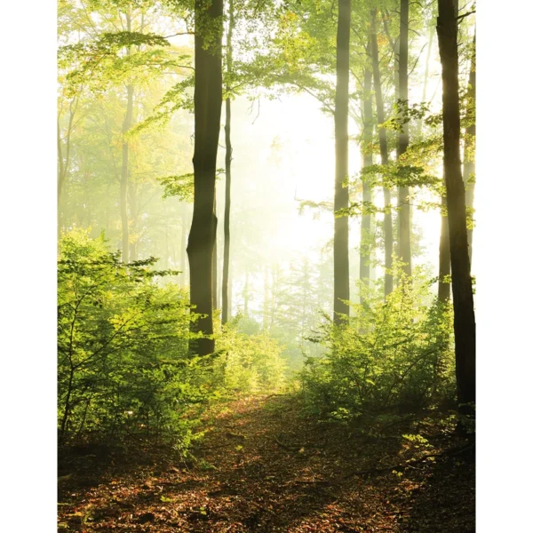 Fliistapeet Smart ART 47221 Forest Time, 212×270 cm