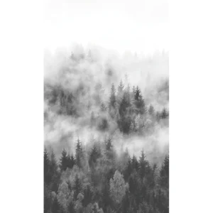 Флизелиновые обои Smart ART 47268 Foggy Pine Forest