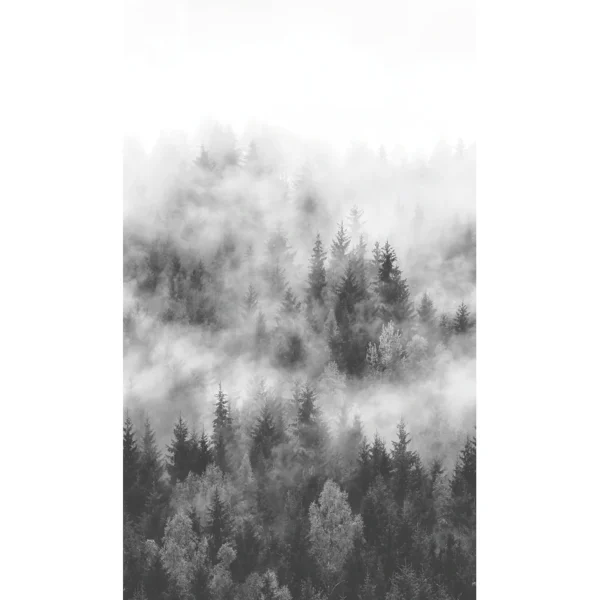Флизелиновые обои Smart ART 47268 Foggy Pine Forest